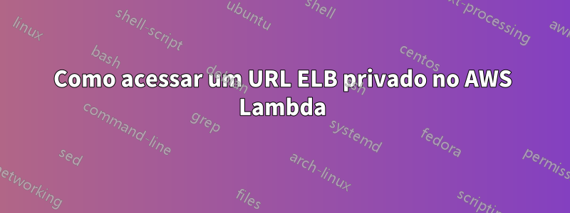 Como acessar um URL ELB privado no AWS Lambda