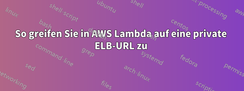 So greifen Sie in AWS Lambda auf eine private ELB-URL zu