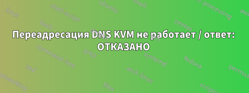 Переадресация DNS KVM не работает / ответ: ОТКАЗАНО