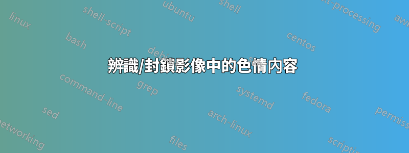 辨識/封鎖影像中的色情內容