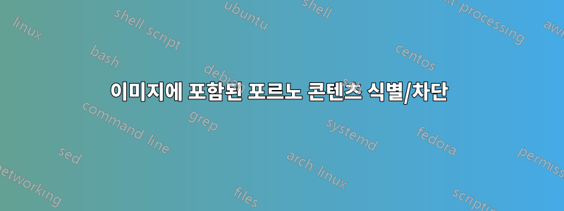 이미지에 포함된 포르노 콘텐츠 식별/차단