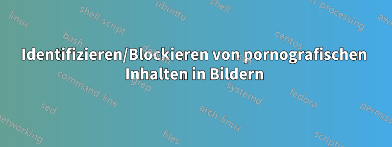 Identifizieren/Blockieren von pornografischen Inhalten in Bildern