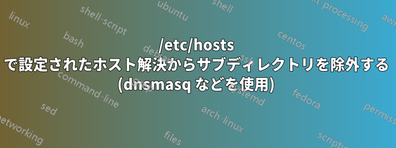 /etc/hosts で設定されたホスト解決からサブディレクトリを除外する (dnsmasq などを使用)