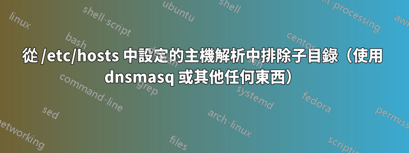 從 /etc/hosts 中設定的主機解析中排除子目錄（使用 dnsmasq 或其他任何東西）