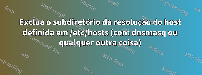 Exclua o subdiretório da resolução do host definida em /etc/hosts (com dnsmasq ou qualquer outra coisa)