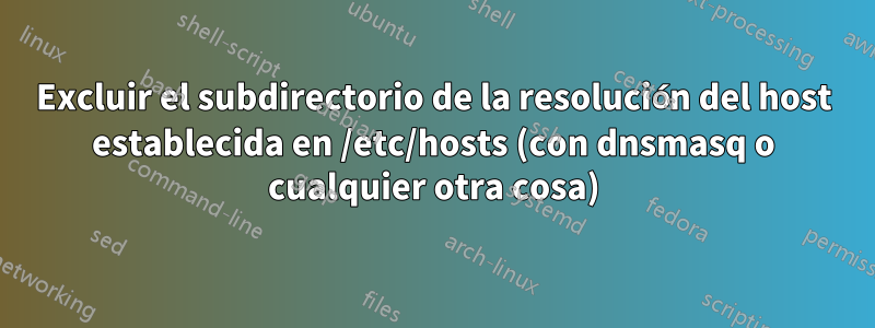 Excluir el subdirectorio de la resolución del host establecida en /etc/hosts (con dnsmasq o cualquier otra cosa)