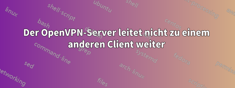 Der OpenVPN-Server leitet nicht zu einem anderen Client weiter