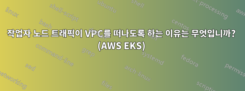 작업자 노드 트래픽이 VPC를 떠나도록 하는 이유는 무엇입니까? (AWS EKS)