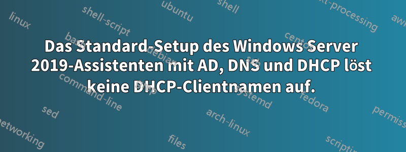 Das Standard-Setup des Windows Server 2019-Assistenten mit AD, DNS und DHCP löst keine DHCP-Clientnamen auf.