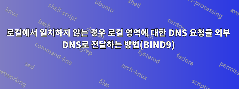 로컬에서 일치하지 않는 경우 로컬 영역에 대한 DNS 요청을 외부 DNS로 전달하는 방법(BIND9)