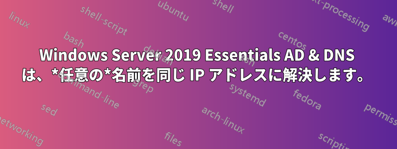 Windows Server 2019 Essentials AD & DNS は、*任意の*名前を同じ IP アドレスに解決します。