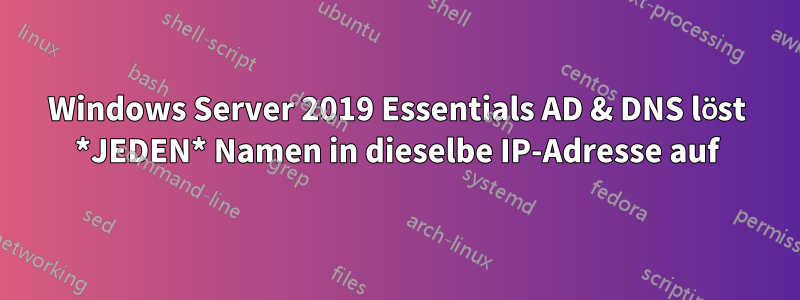 Windows Server 2019 Essentials AD & DNS löst *JEDEN* Namen in dieselbe IP-Adresse auf