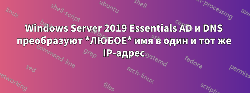 Windows Server 2019 Essentials AD и DNS преобразуют *ЛЮБОЕ* имя в один и тот же IP-адрес