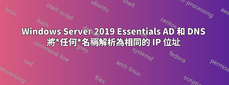 Windows Server 2019 Essentials AD 和 DNS 將*任何*名稱解析為相同的 IP 位址