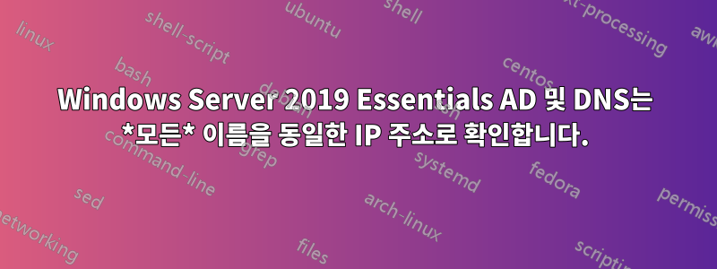 Windows Server 2019 Essentials AD 및 DNS는 *모든* 이름을 동일한 IP 주소로 확인합니다.