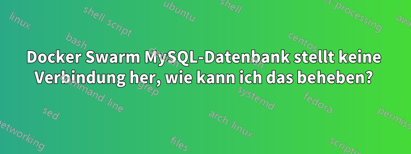 Docker Swarm MySQL-Datenbank stellt keine Verbindung her, wie kann ich das beheben?