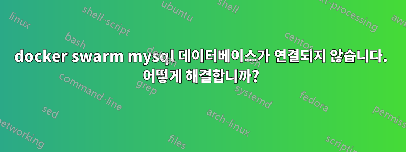 docker swarm mysql 데이터베이스가 연결되지 않습니다. 어떻게 해결합니까?