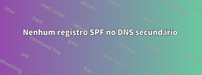 Nenhum registro SPF no DNS secundário