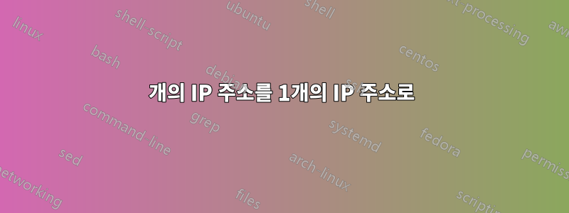 2개의 IP 주소를 1개의 IP 주소로