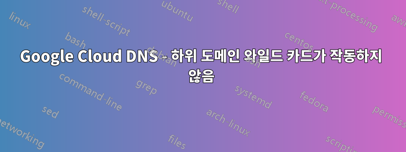 Google Cloud DNS - 하위 도메인 와일드 카드가 작동하지 않음