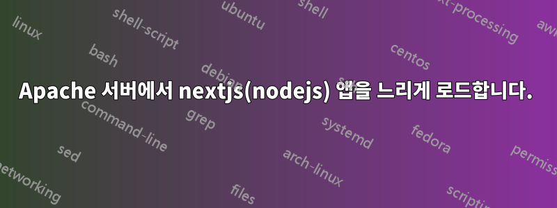 Apache 서버에서 nextjs(nodejs) 앱을 느리게 로드합니다.