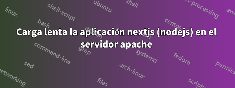 Carga lenta la aplicación nextjs (nodejs) en el servidor apache