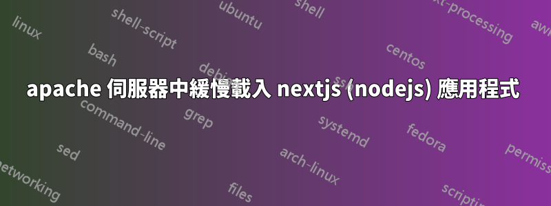 apache 伺服器中緩慢載入 nextjs (nodejs) 應用程式