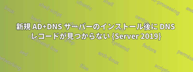 新規 AD+DNS サーバーのインストール後に DNS レコードが見つからない {Server 2019}