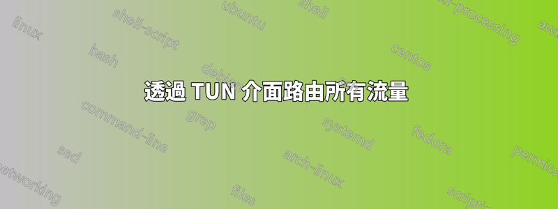 透過 TUN 介面路由所有流量