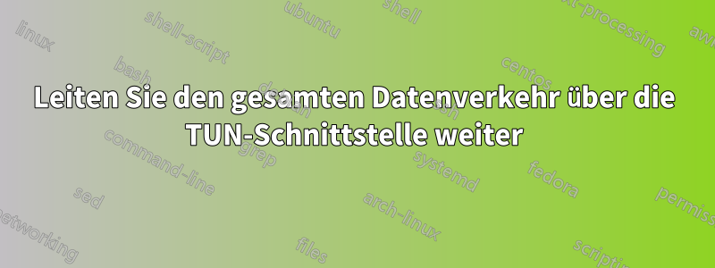 Leiten Sie den gesamten Datenverkehr über die TUN-Schnittstelle weiter