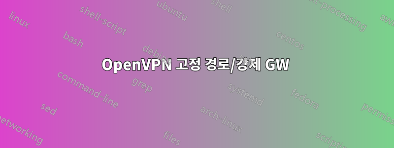 OpenVPN 고정 경로/강제 GW