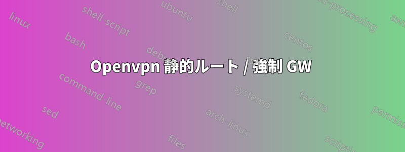 Openvpn 静的ルート / 強制 GW