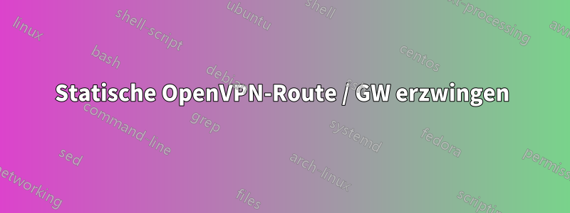 Statische OpenVPN-Route / GW erzwingen