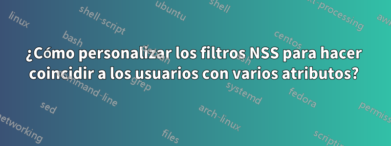 ¿Cómo personalizar los filtros NSS para hacer coincidir a los usuarios con varios atributos?