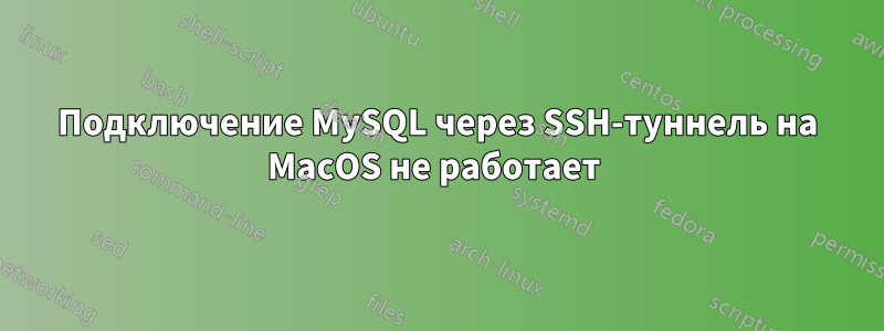 Подключение MySQL через SSH-туннель на MacOS не работает 