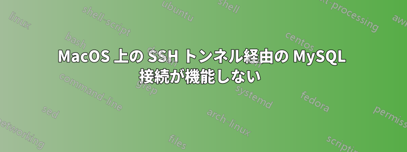 MacOS 上の SSH トンネル経由の MySQL 接続が機能しない 