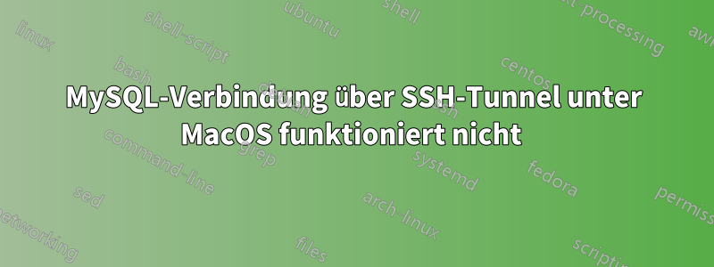 MySQL-Verbindung über SSH-Tunnel unter MacOS funktioniert nicht 