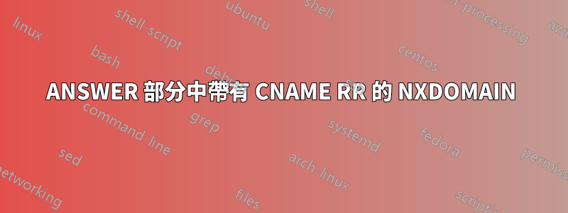 ANSWER 部分中帶有 CNAME RR 的 NXDOMAIN