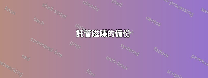 託管磁碟的備份