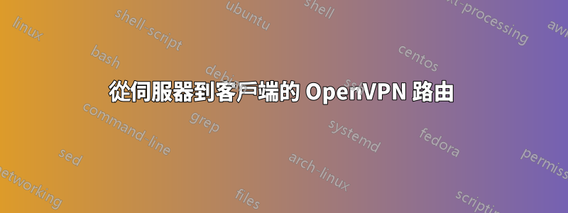 從伺服器到客戶端的 OpenVPN 路由