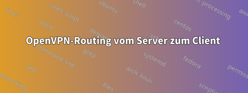 OpenVPN-Routing vom Server zum Client