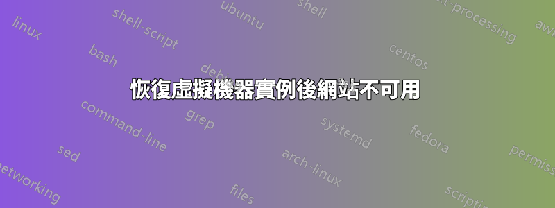 恢復虛擬機器實例後網站不可用