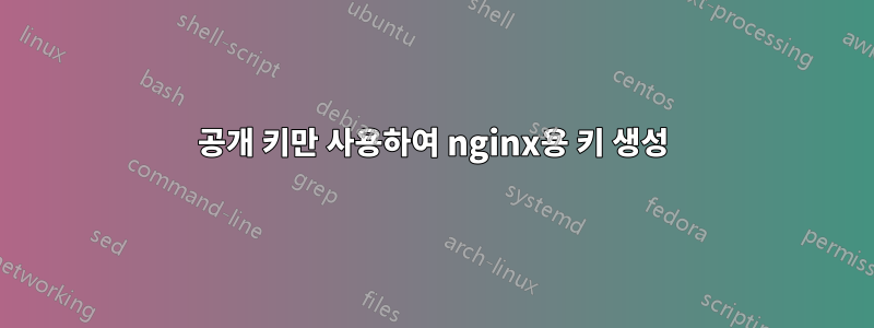 공개 키만 사용하여 nginx용 키 생성