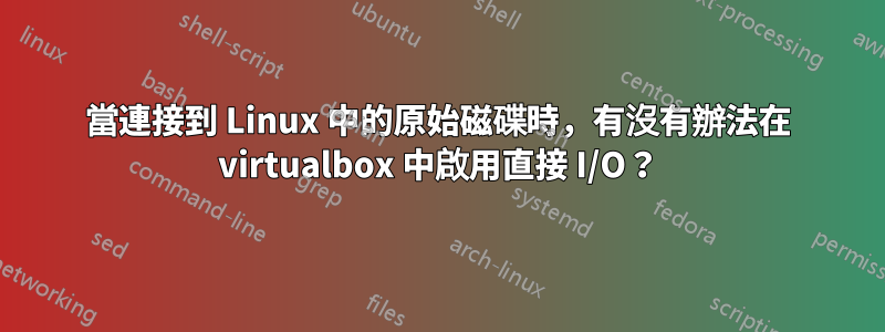 當連接到 Linux 中的原始磁碟時，有沒有辦法在 virtualbox 中啟用直接 I/O？