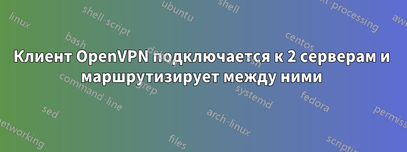 Клиент OpenVPN подключается к 2 серверам и маршрутизирует между ними