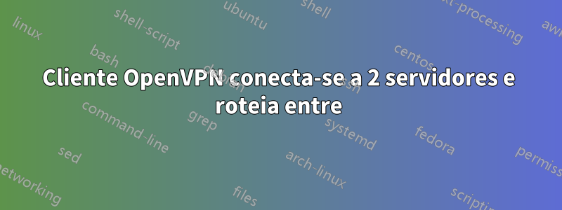 Cliente OpenVPN conecta-se a 2 servidores e roteia entre