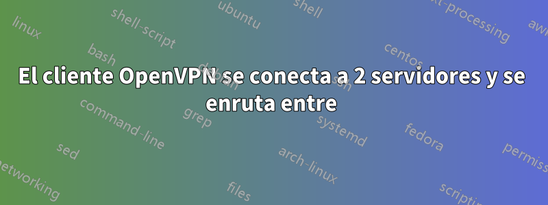 El cliente OpenVPN se conecta a 2 servidores y se enruta entre