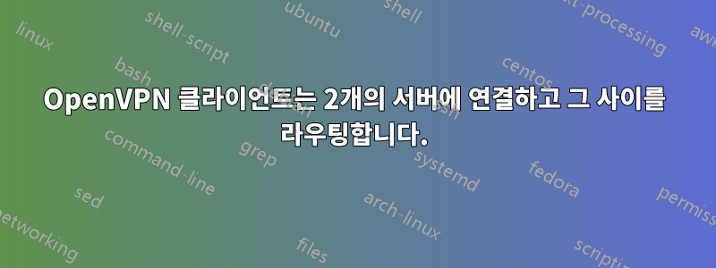 OpenVPN 클라이언트는 2개의 서버에 연결하고 그 사이를 라우팅합니다.