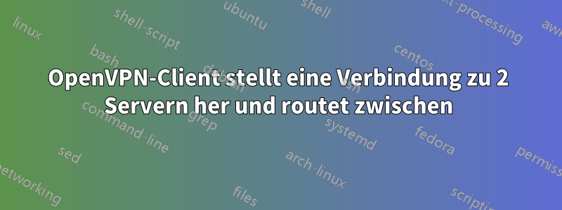 OpenVPN-Client stellt eine Verbindung zu 2 Servern her und routet zwischen