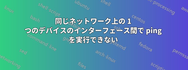 同じネットワーク上の 1 つのデバイスのインターフェース間で ping を実行できない